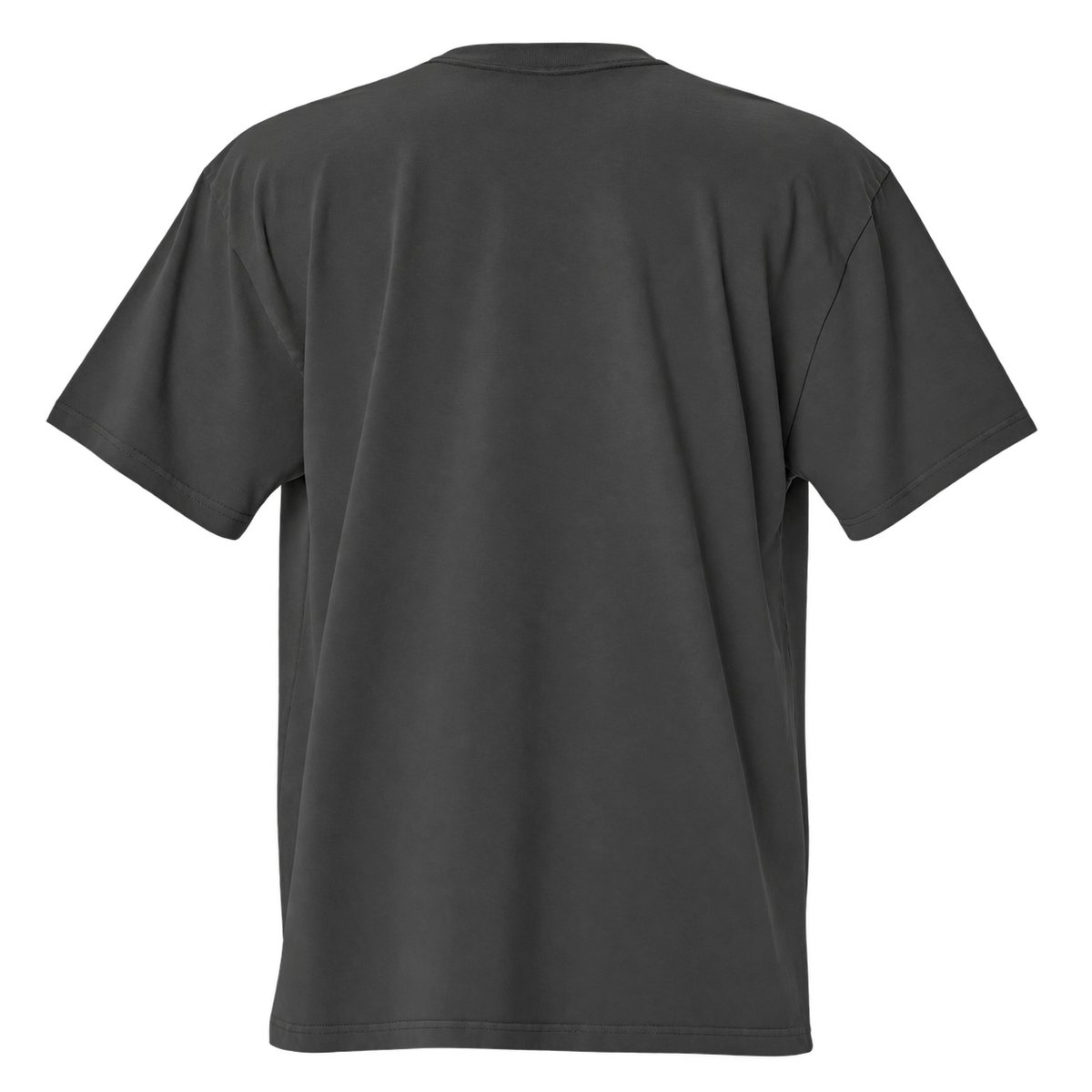 Vista de costas — Faded — T-shirt Oversized BluNook